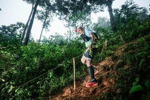 BIB: 
                            <button type="button" onclick="openModal(26203049)" class="btn btn-primary btn-sm float-right btn-popup" data-toggle="modal" data-target=".modal-high-quality">
                        <i class="fas fa-shopping-cart"></i> Add to Cart
                    </button>
                                            <button type="button" onclick="isThisMe(26203049, true)" class="btn btn-success btn-sm float-right btn-popup btn-isme hidden" data-toggle="tooltip" data-placement="bottom" title="นี่คือรูปของคุณใช่ไหม คลิกที่นี่เพื่อเอาเข้าอัลบั้ม">
                        <i class="fas fa-plus"></i> Add to album
                    </button>
                    <button type="button" onclick="isThisMe(26203049, false)" class="btn btn-warning btn-sm float-right btn-popup btn-isnotme hidden">
                        <i class="fas fa-ban"></i> Remove from album
                    </button>